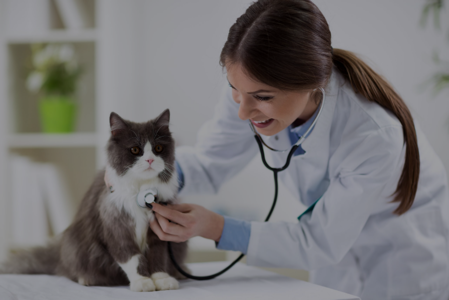 Imagen médica